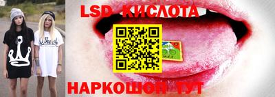 амф Дубна