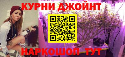 амф Дубна