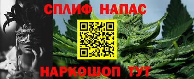 амф Дубна